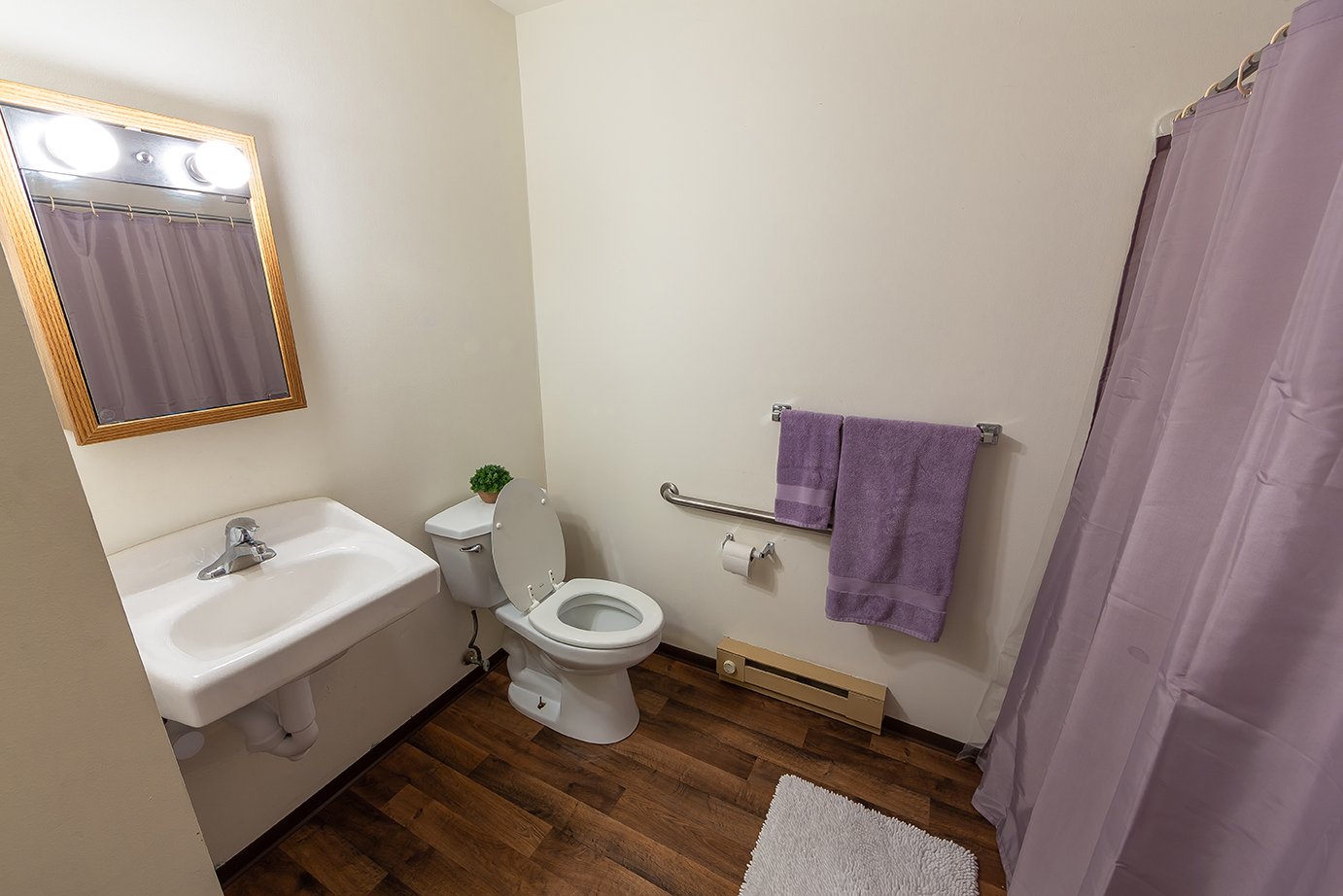 Accessible suite bathroom with grab bar